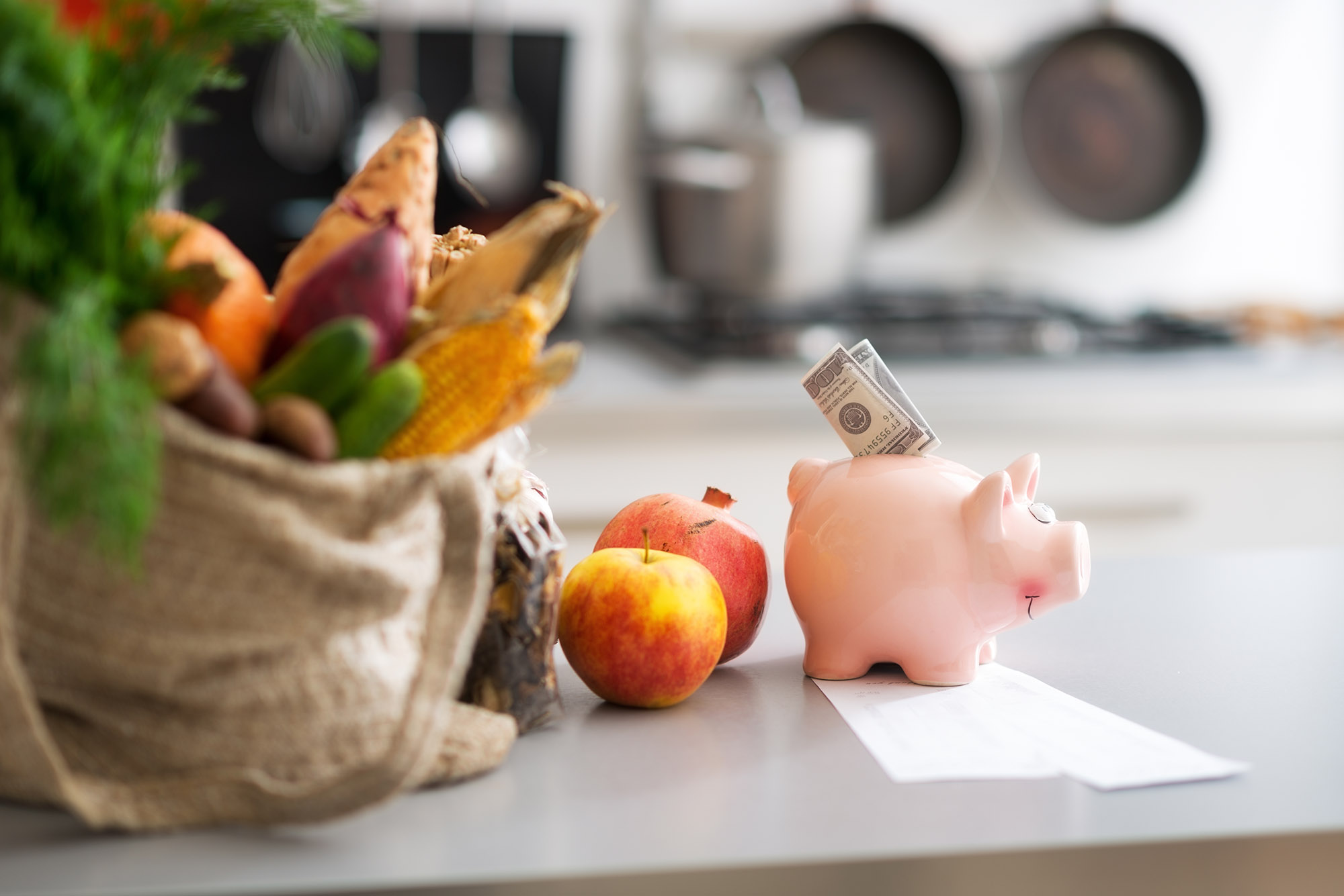 Chapter 10: Conclusion – Embrace a Frugal Lifestyle for Long-Term Savings