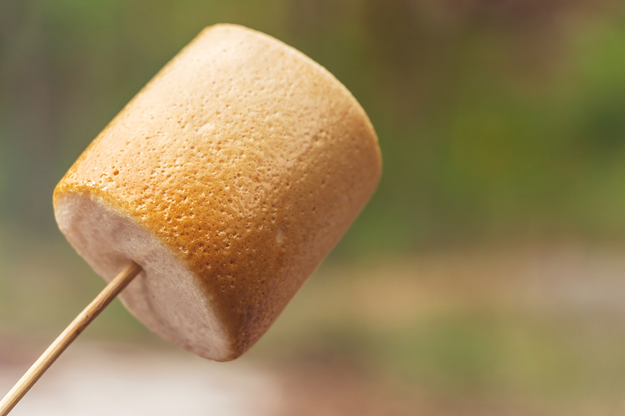 Golden Brown Perfection: Tips and Techniques for the Ideal Toast