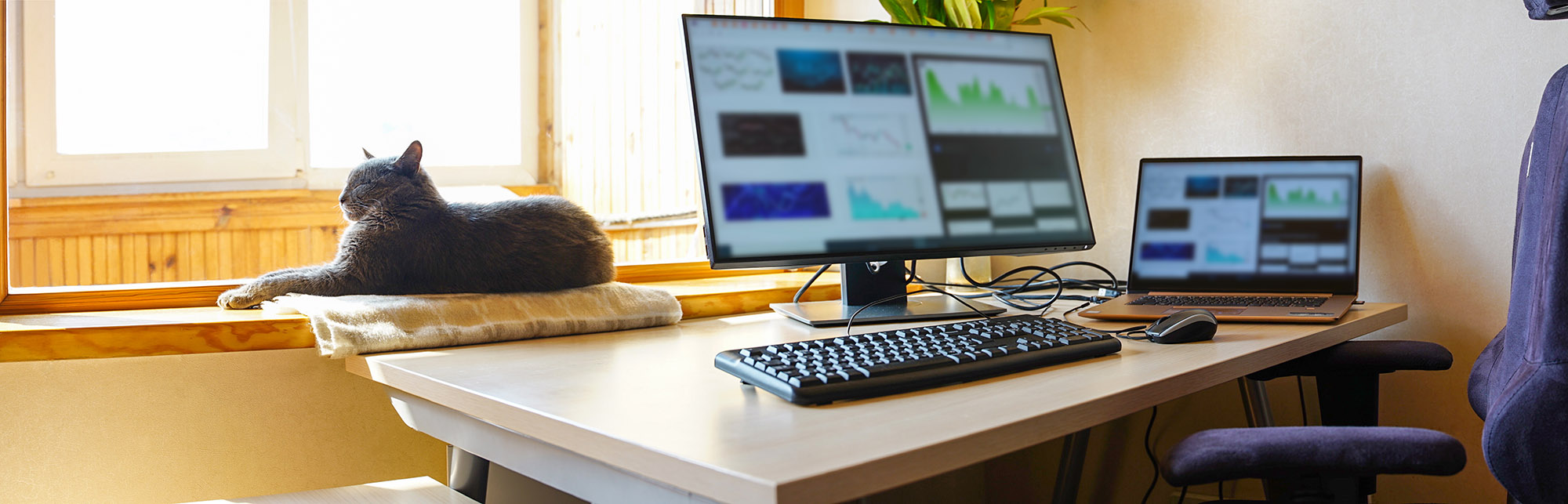Mastering Remote Work: Essential Tools and Proven Tips for Business Success