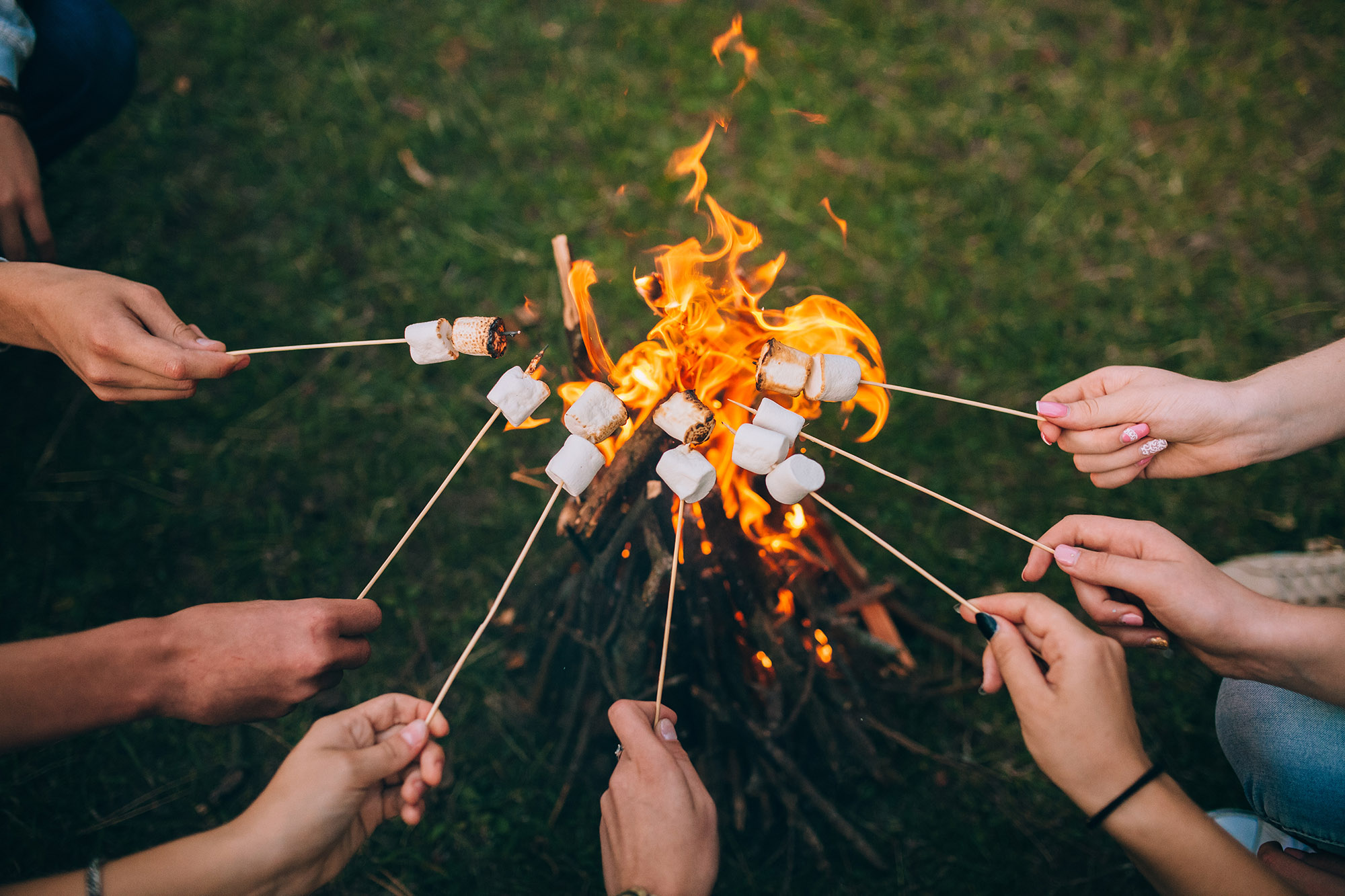Mastering the Marshmallow Toast: A Comprehensive Guide to Perfecting Every Preference